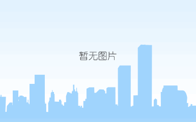 中铁二十四局上海铁建上海高架桥lplc300t.jpg